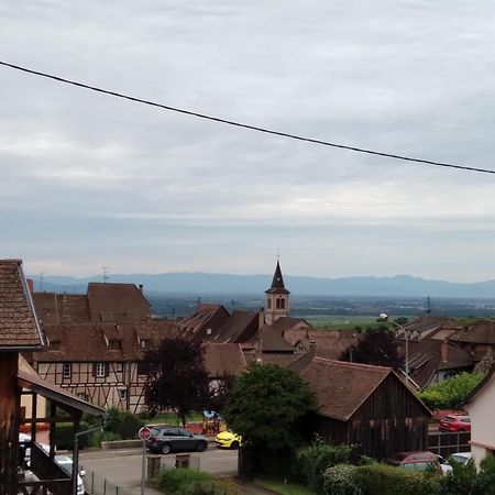 Le Repos Du Facteur Daire Riquewihr Dış mekan fotoğraf